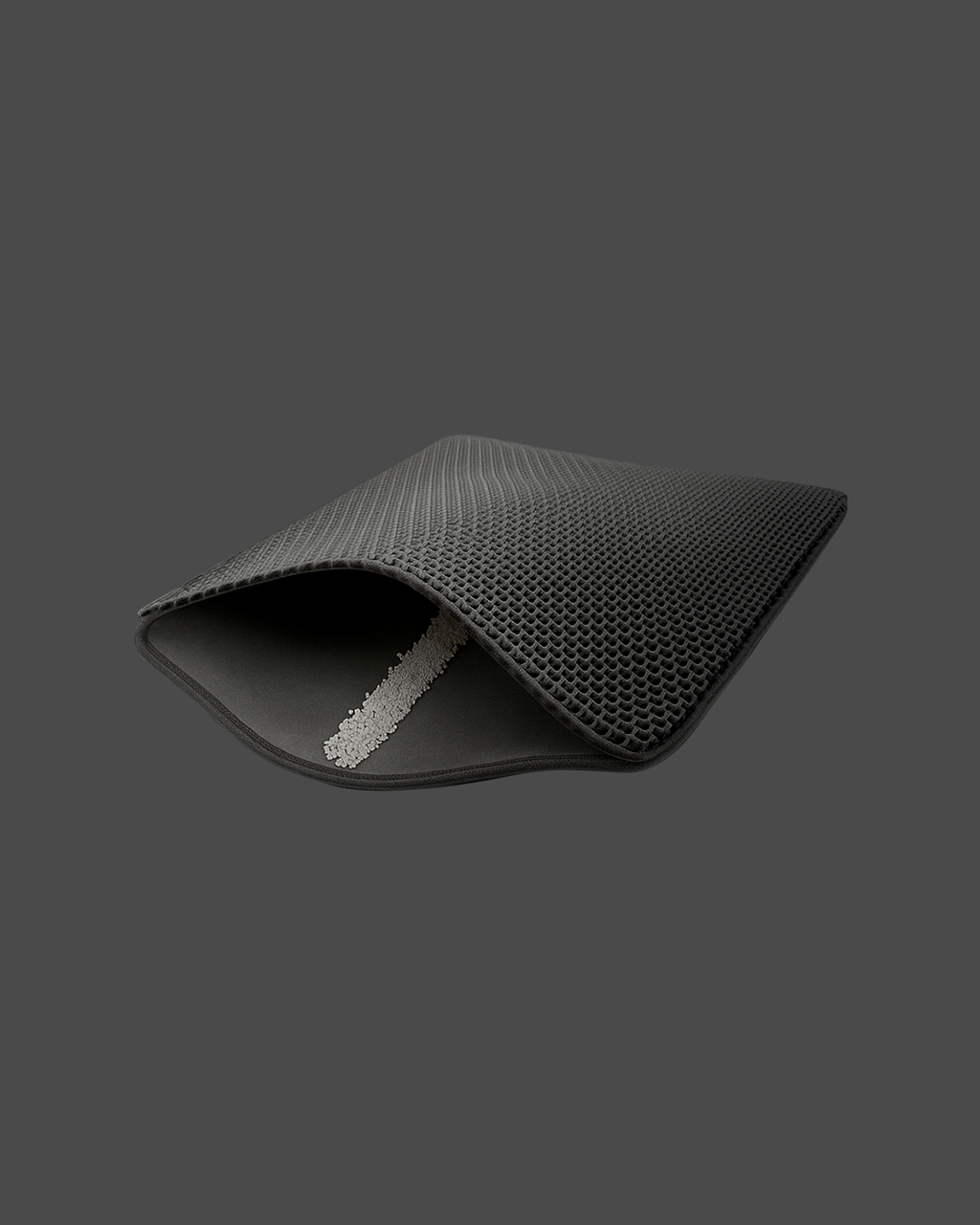 CleanPaw Mat