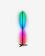 RGB Floor Lamp