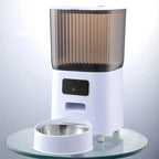 Double Bowls Smart Automatic