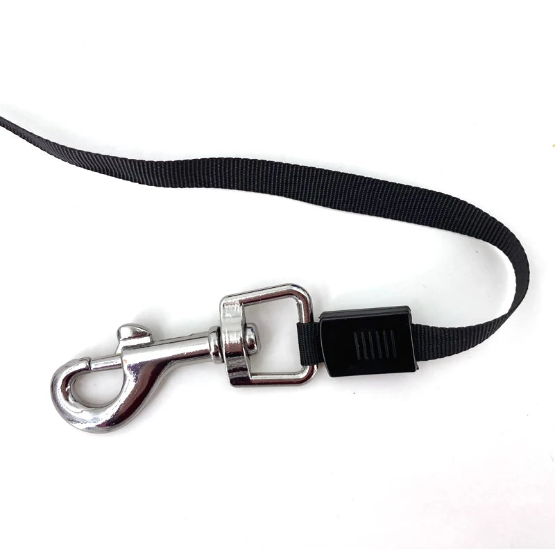 Retractable Pet Leash Automatic