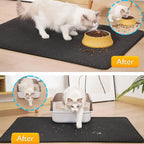 CleanPaw Mat