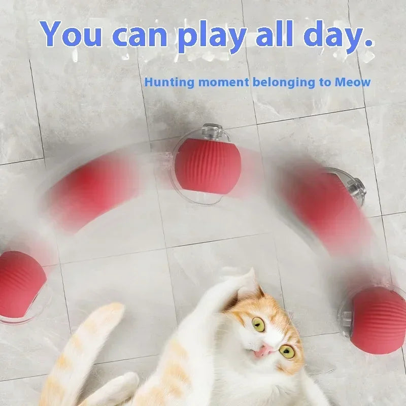 Interactive Cat Toys Ballh