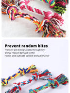 Dog Toy Pet