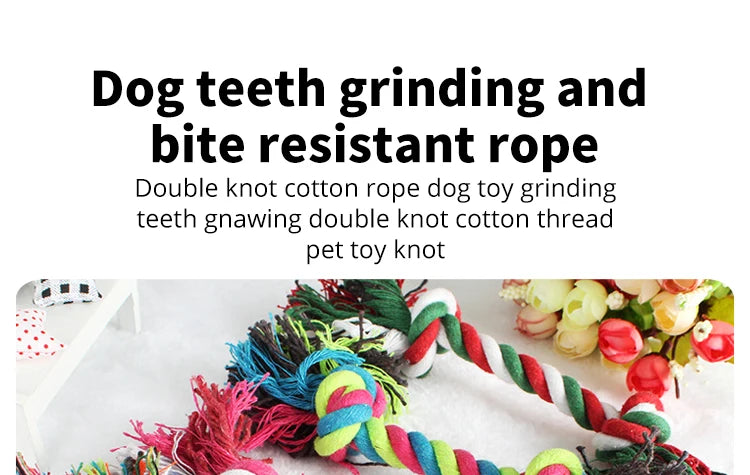 Dog Toy Pet