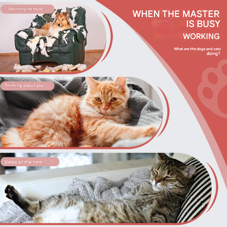 Interactive Cat Toys Ballh