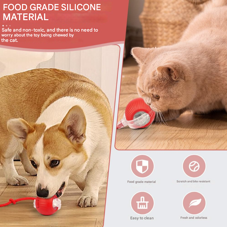 Interactive Cat Toys Ballh